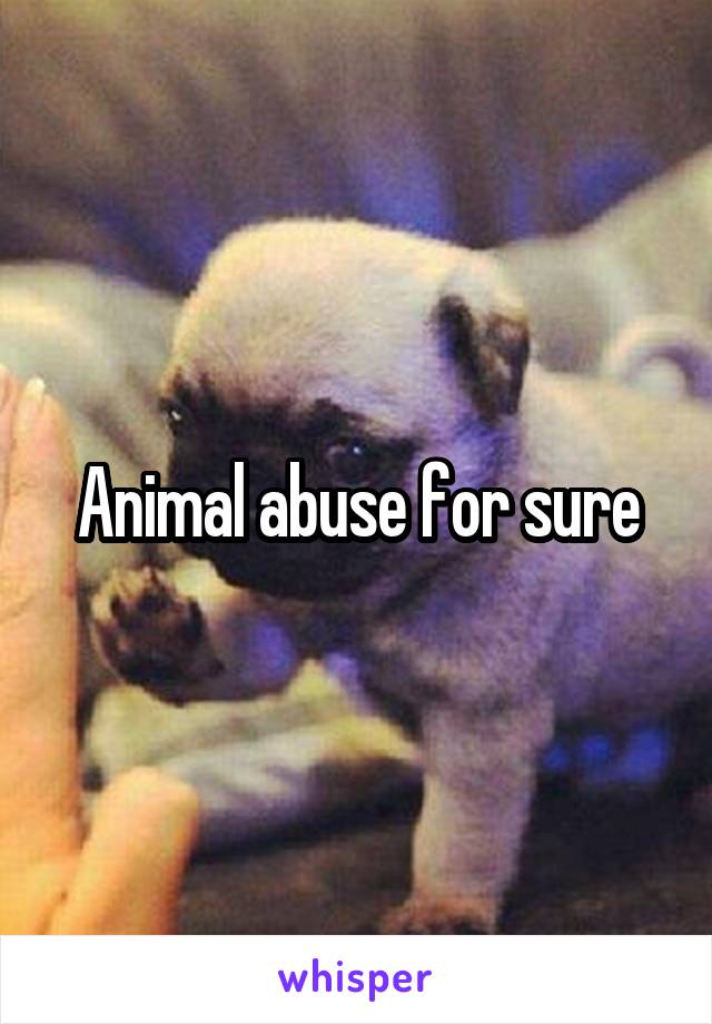 Animal abuse for sure