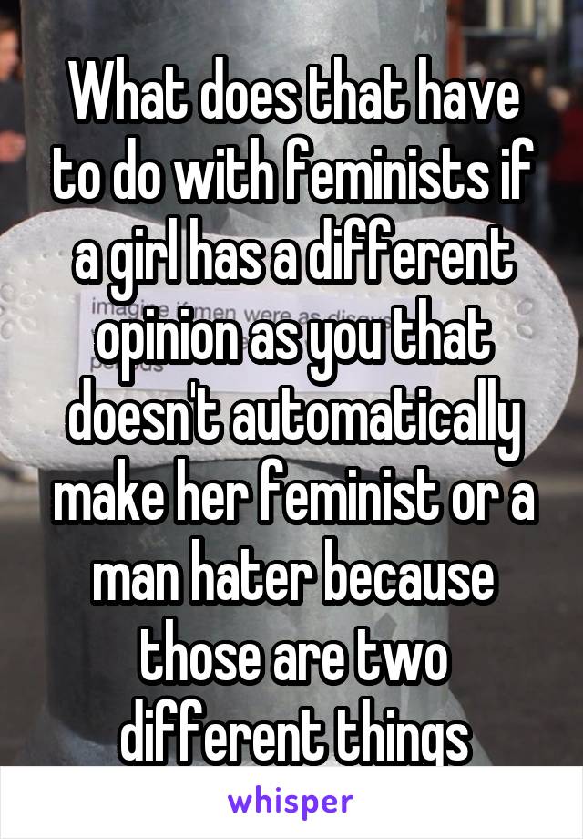 What does that have to do with feminists if a girl has a different opinion as you that doesn't automatically make her feminist or a man hater because those are two different things