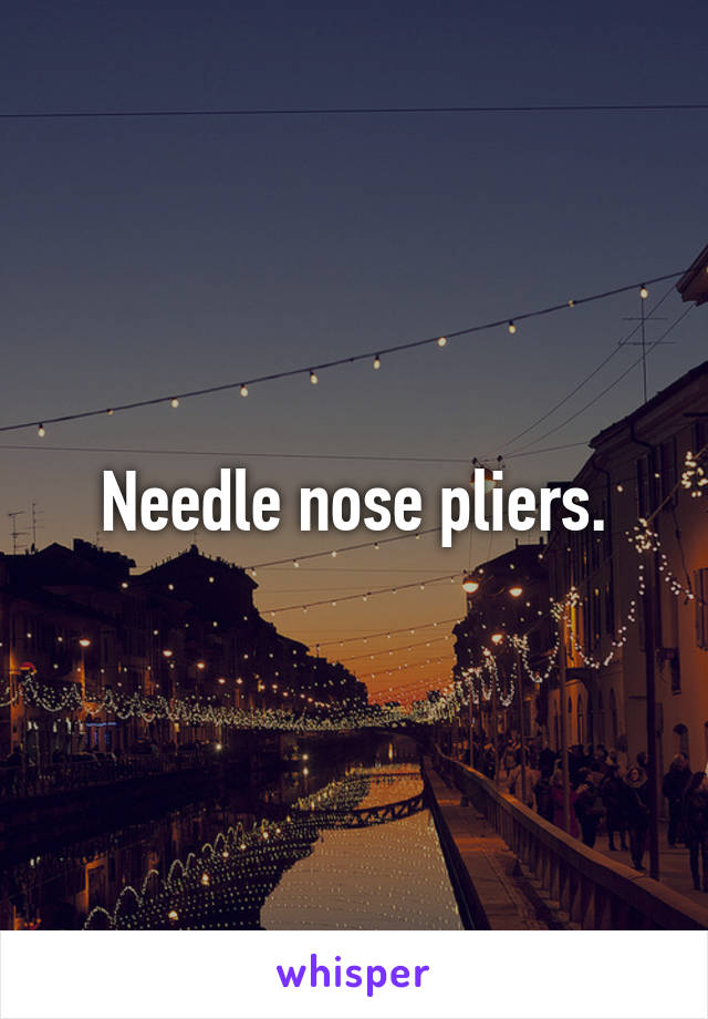 Needle nose pliers.