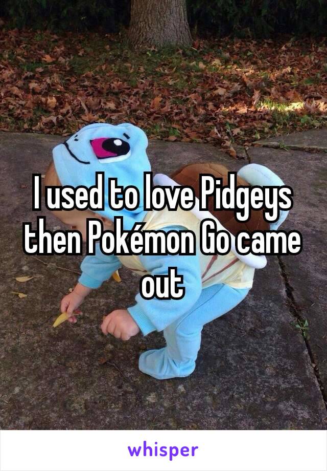 I used to love Pidgeys then Pokémon Go came out