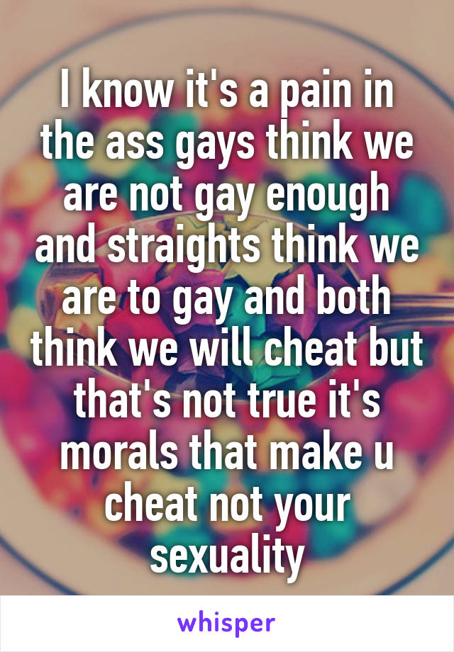 I know it's a pain in the ass gays think we are not gay enough and straights think we are to gay and both think we will cheat but that's not true it's morals that make u cheat not your sexuality