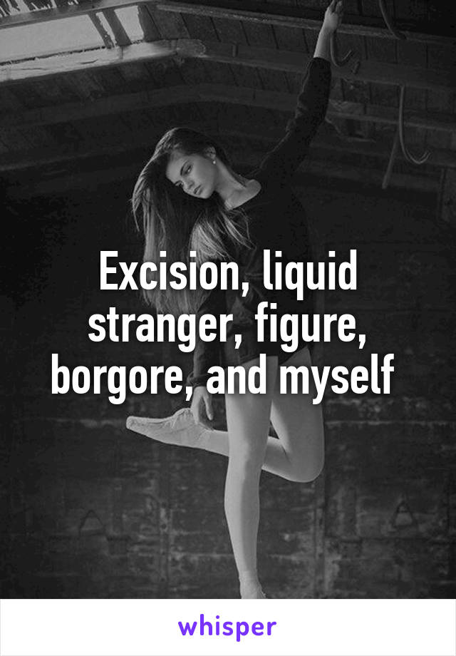 Excision, liquid stranger, figure, borgore, and myself 