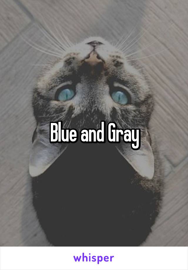 Blue and Gray