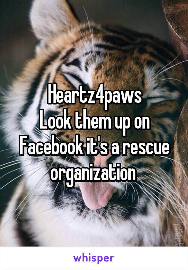 Heartz4paws
Look them up on Facebook it's a rescue organization 