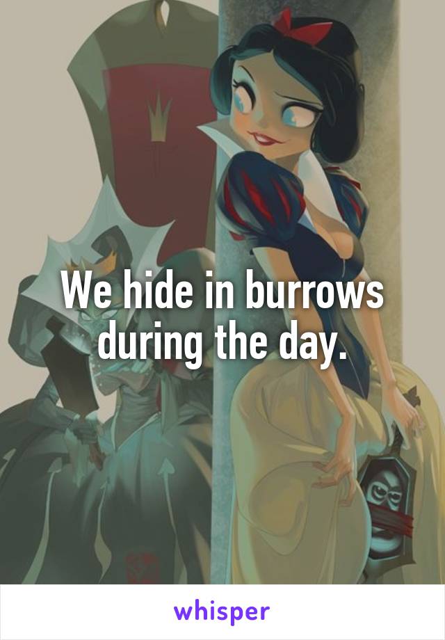 We hide in burrows during the day.