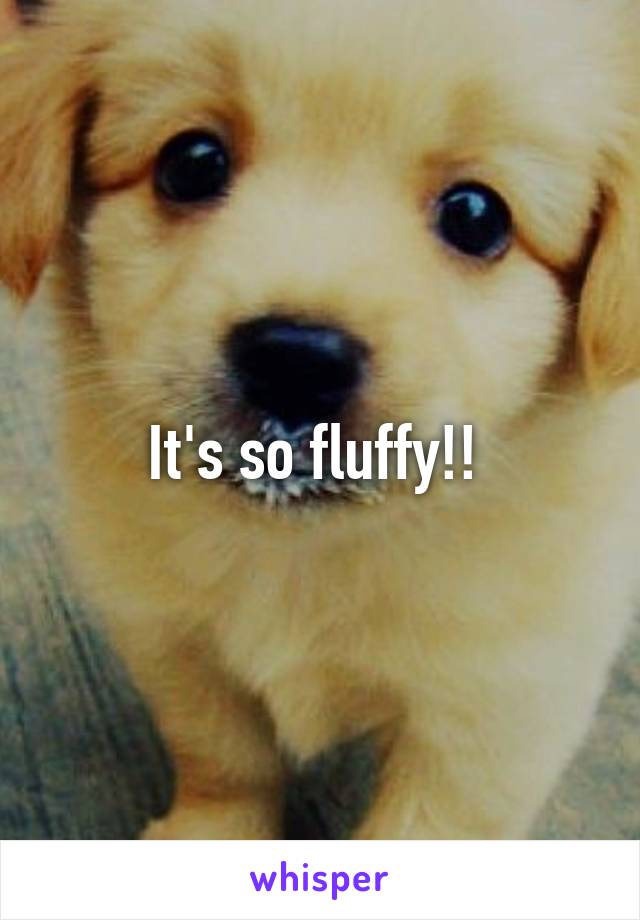 It's so fluffy!! 