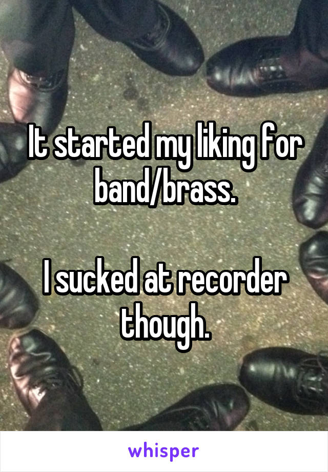 It started my liking for band/brass.

I sucked at recorder though.