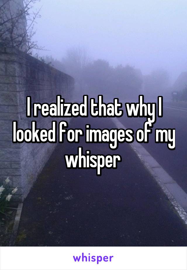 I realized that why I looked for images of my whisper 