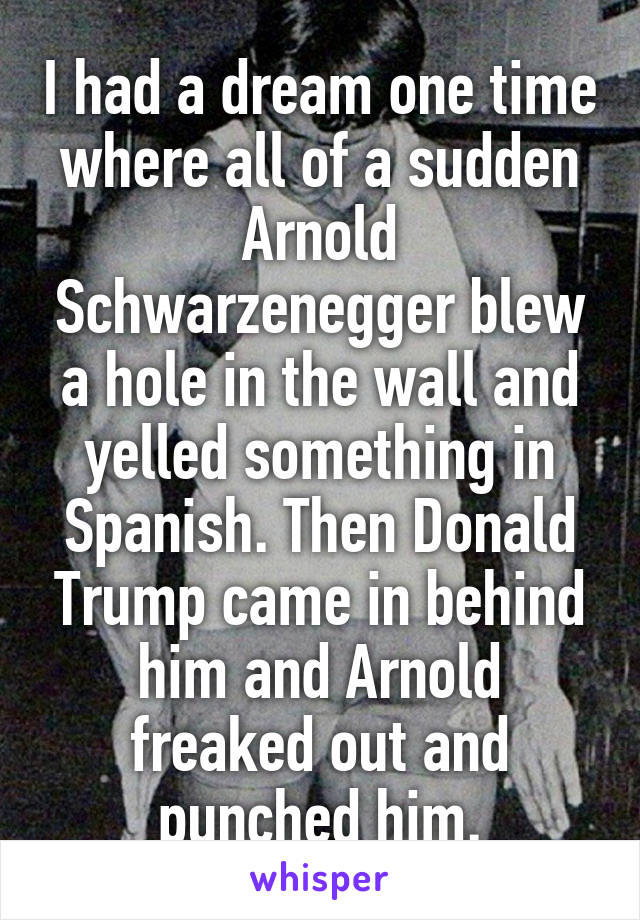 I had a dream one time where all of a sudden Arnold Schwarzenegger blew a hole in the wall and yelled something in Spanish. Then Donald Trump came in behind him and Arnold freaked out and punched him.
