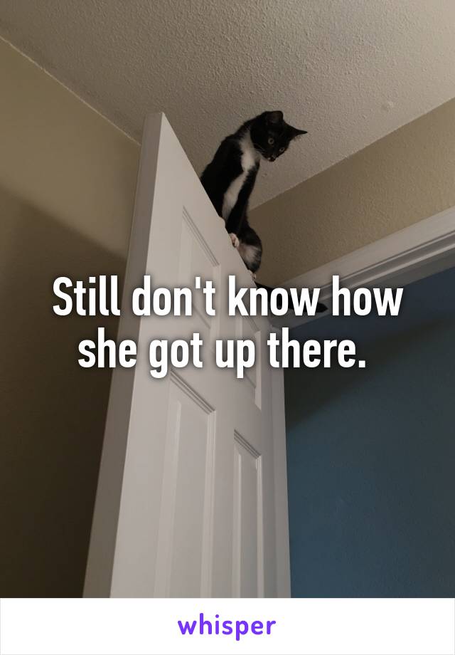 Still don't know how she got up there. 