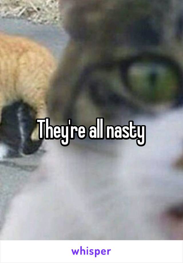 They're all nasty 