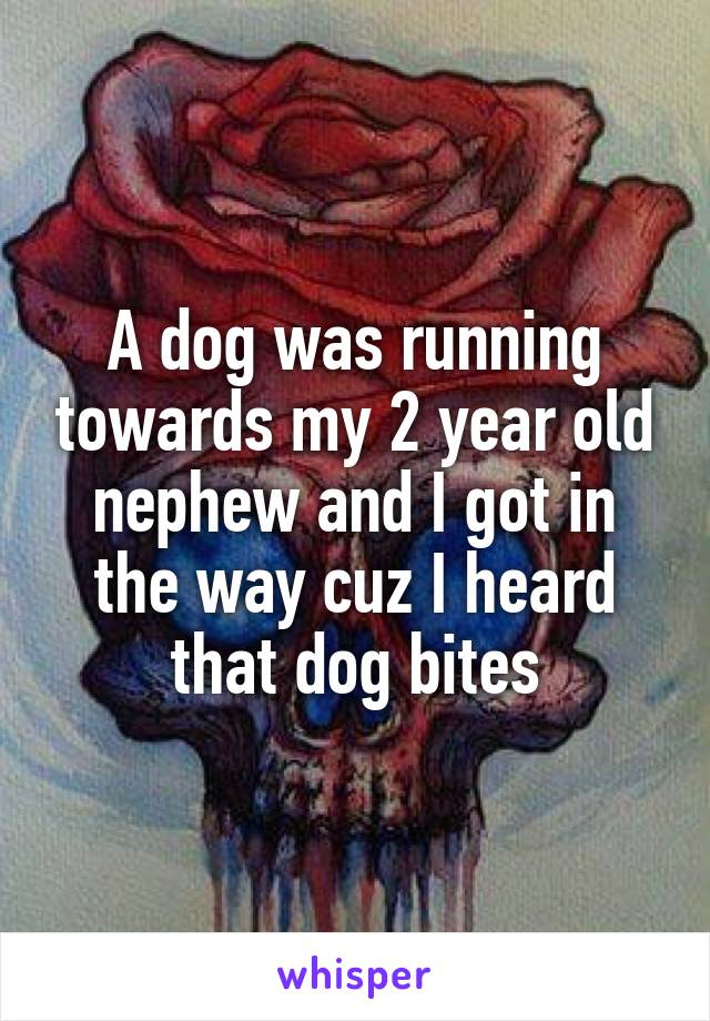 A dog was running towards my 2 year old nephew and I got in the way cuz I heard that dog bites