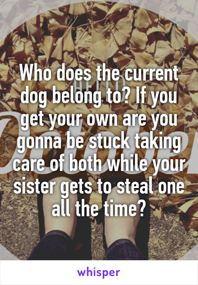 Who does the current dog belong to? If you get your own are you gonna be stuck taking care of both while your sister gets to steal one all the time?