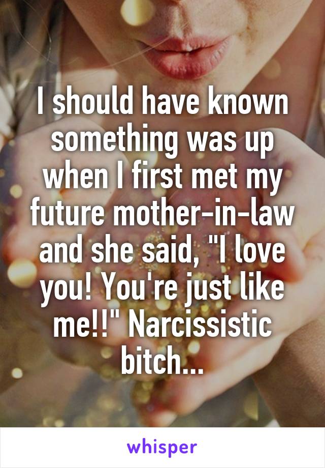 I should have known something was up when I first met my future mother-in-law and she said, "I love you! You're just like me!!" Narcissistic bitch...
