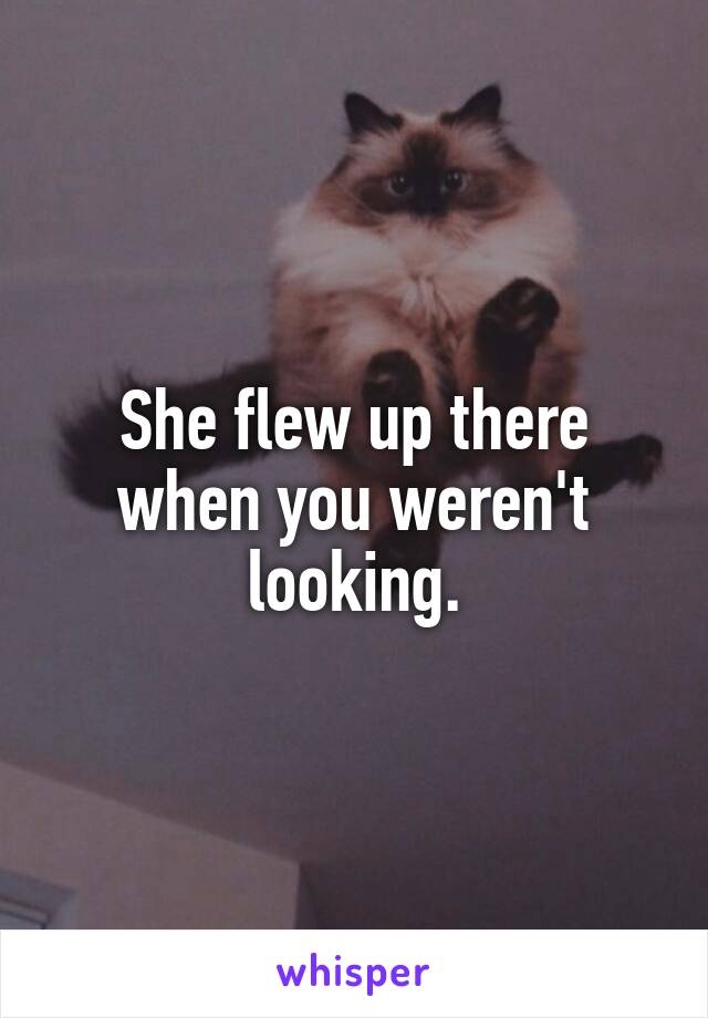 She flew up there when you weren't looking.