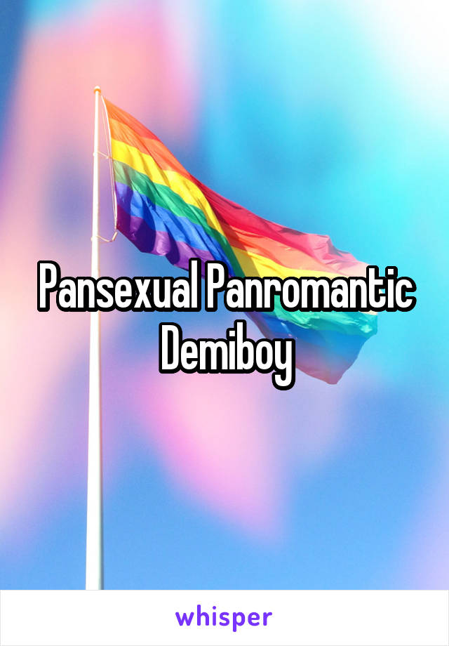Pansexual Panromantic Demiboy