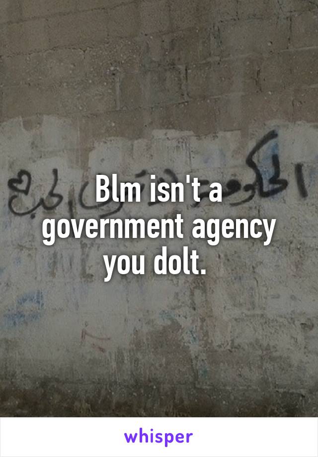 Blm isn't a government agency you dolt. 