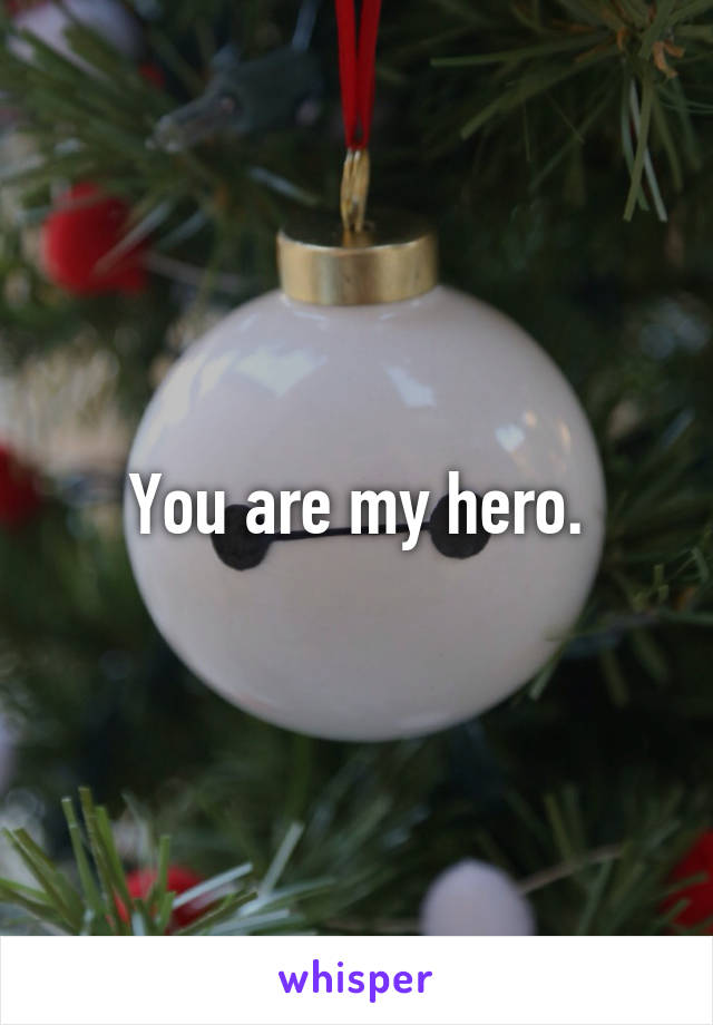 You are my hero.