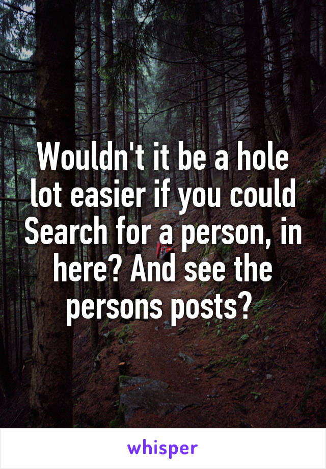 Wouldn't it be a hole lot easier if you could Search for a person, in here? And see the persons posts? 