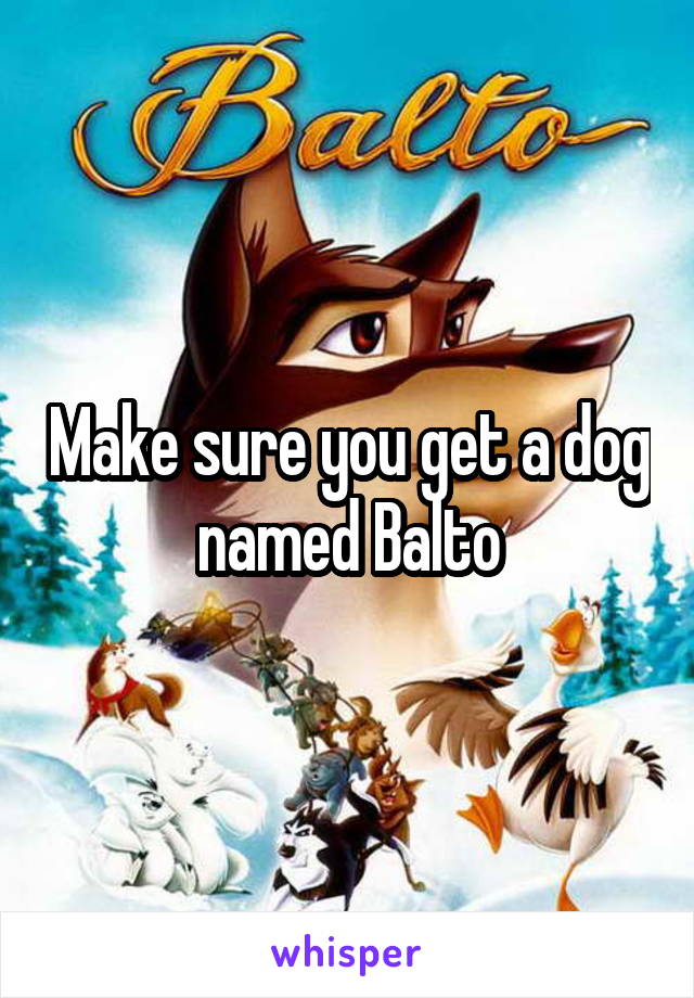 Make sure you get a dog named Balto