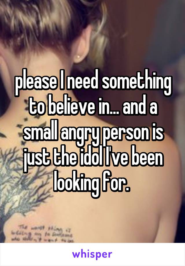 please I need something to believe in... and a small angry person is just the idol I've been looking for. 