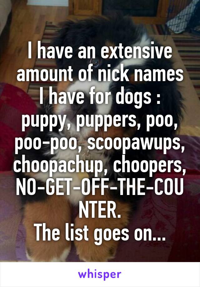 I have an extensive amount of nick names I have for dogs : puppy, puppers, poo, poo-poo, scoopawups, choopachup, choopers, NO-GET-OFF-THE-COUNTER.
The list goes on...