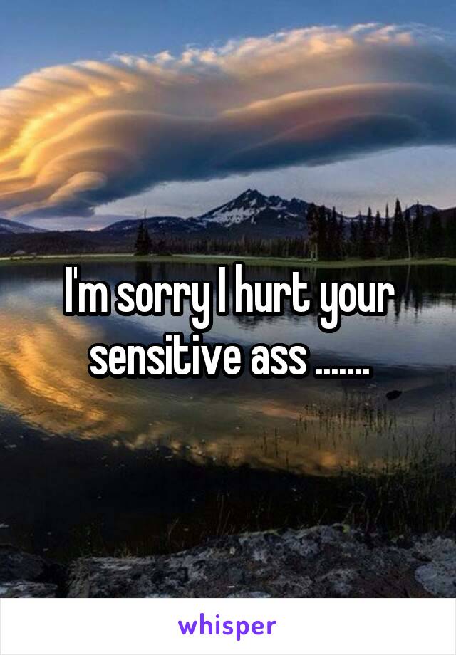 I'm sorry I hurt your sensitive ass .......