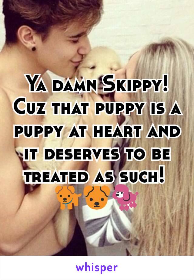 Ya damn Skippy! Cuz that puppy is a puppy at heart and it deserves to be treated as such! 
🐕🐶🐩