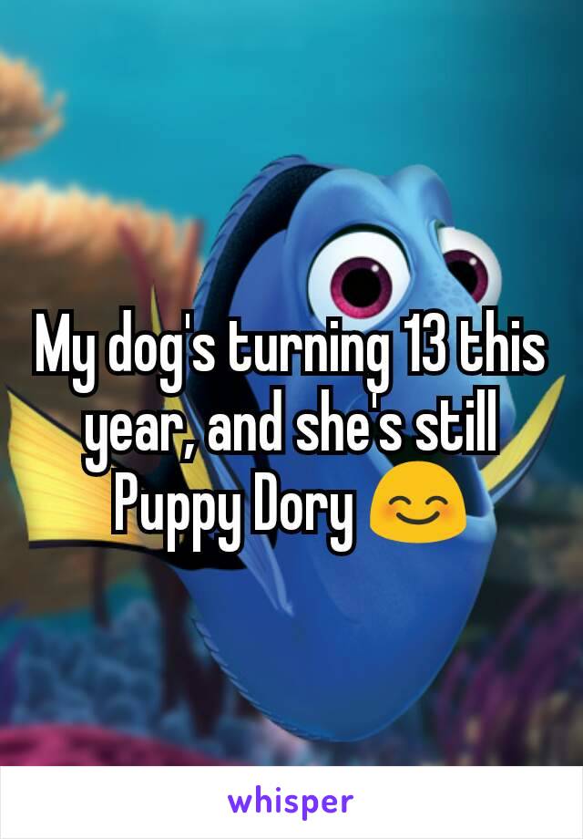 My dog's turning 13 this year, and she's still Puppy Dory 😊