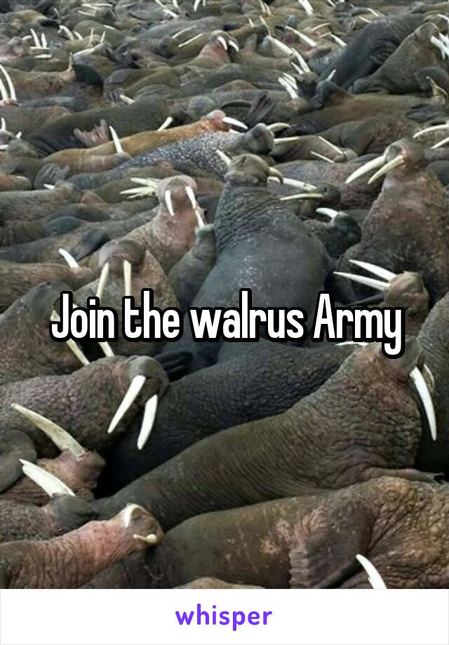 Join the walrus Army