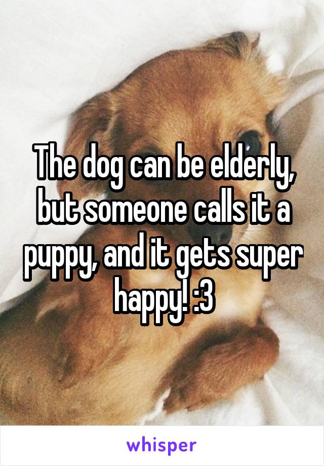 The dog can be elderly, but someone calls it a puppy, and it gets super happy! :3