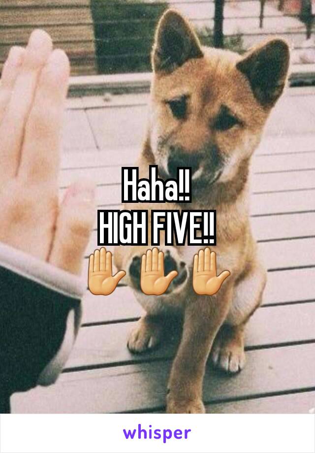 Haha!!
HIGH FIVE!!
✋✋✋