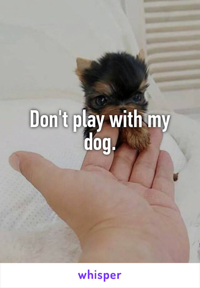 Don't play with my dog.
