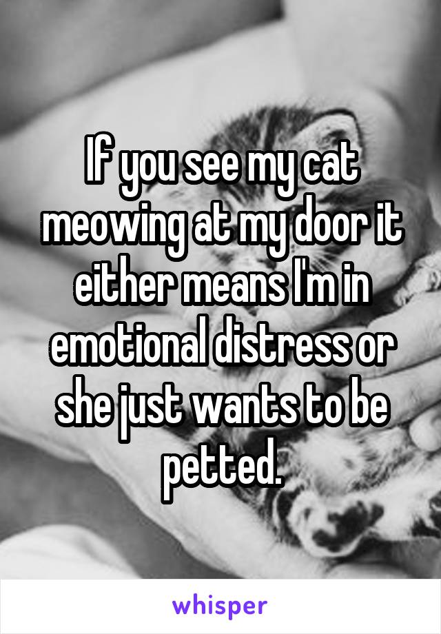 If you see my cat meowing at my door it either means I'm in emotional distress or she just wants to be petted.