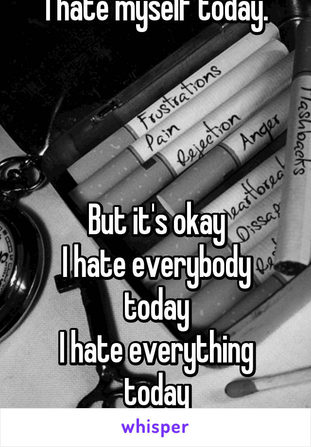 I hate myself today.




But it's okay
I hate everybody today
I hate everything today
Depression sucks
