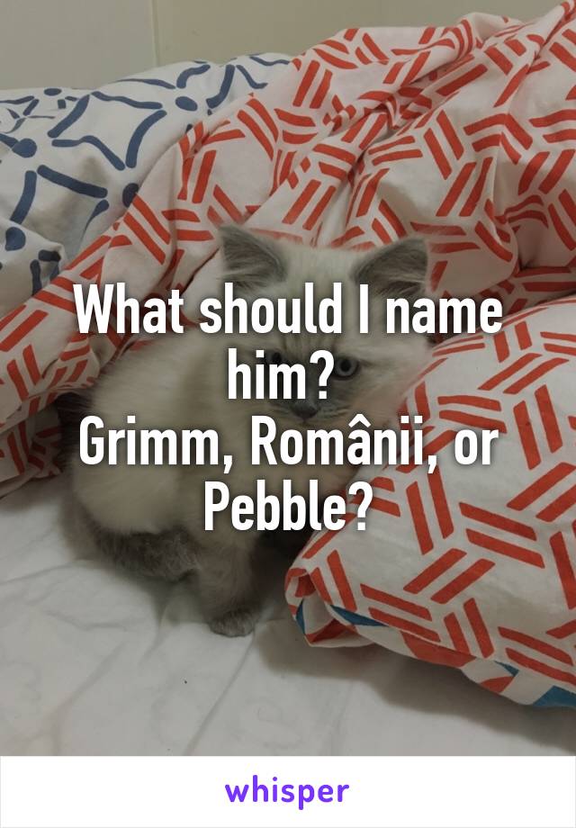 What should I name him? 
Grimm, Românii, or Pebble?