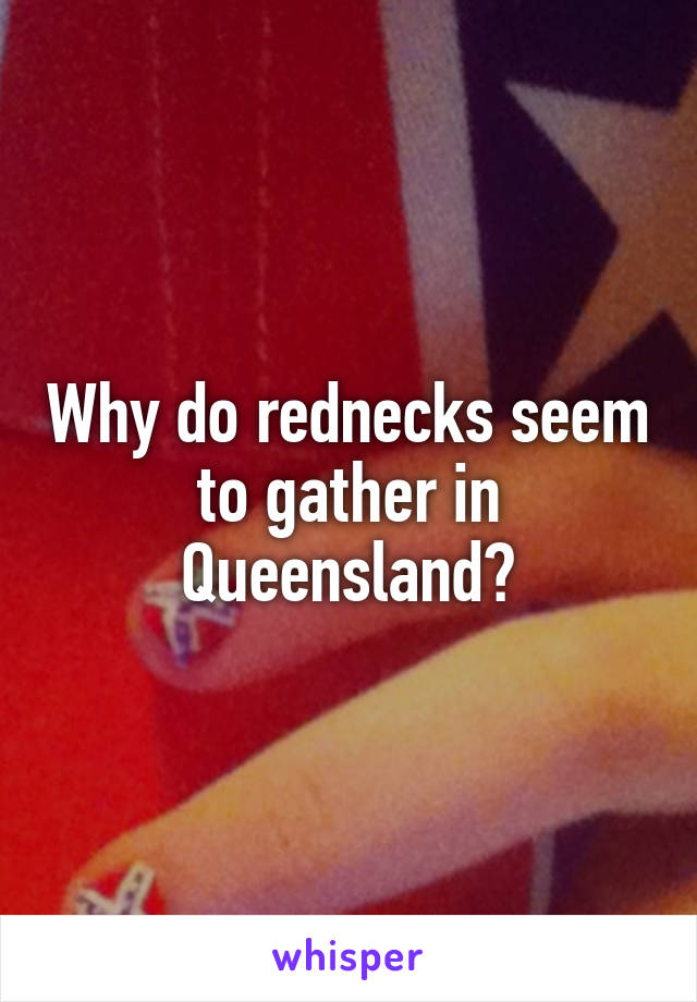 Why do rednecks seem to gather in Queensland?
