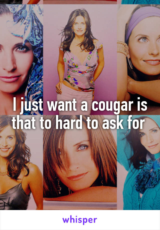 I just want a cougar is that to hard to ask for 