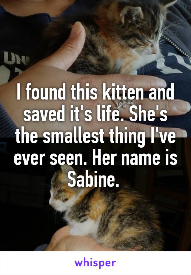 I found this kitten and saved it's life. She's the smallest thing I've ever seen. Her name is Sabine. 