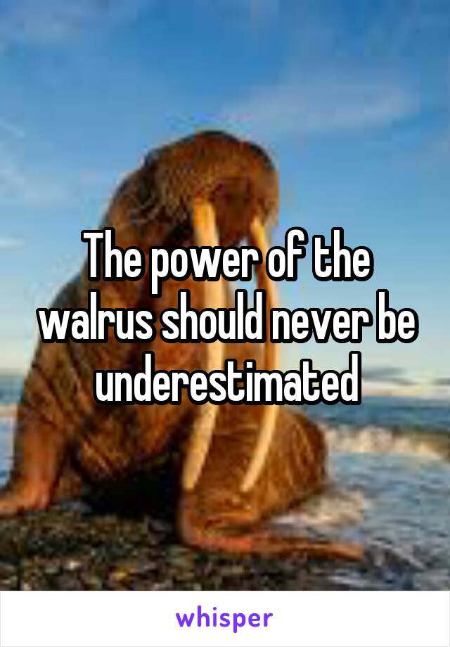 The power of the walrus should never be underestimated