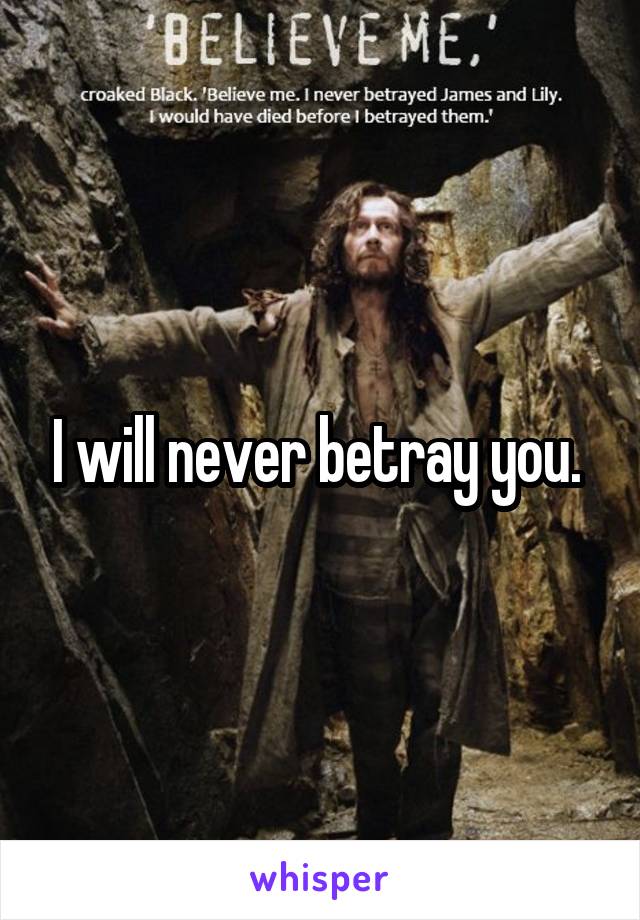 I will never betray you. 