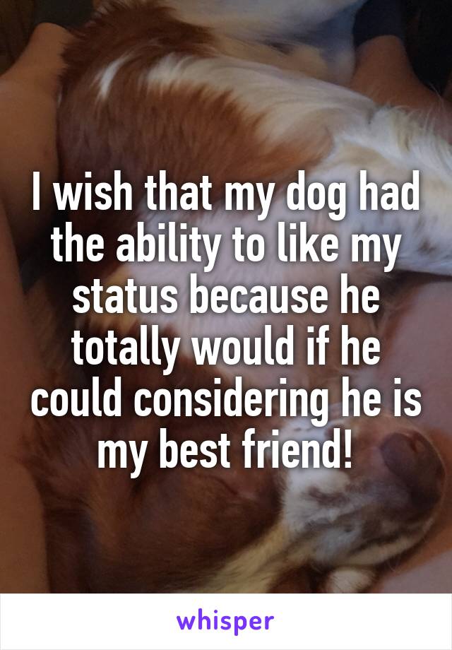 I wish that my dog had the ability to like my status because he totally would if he could considering he is my best friend!