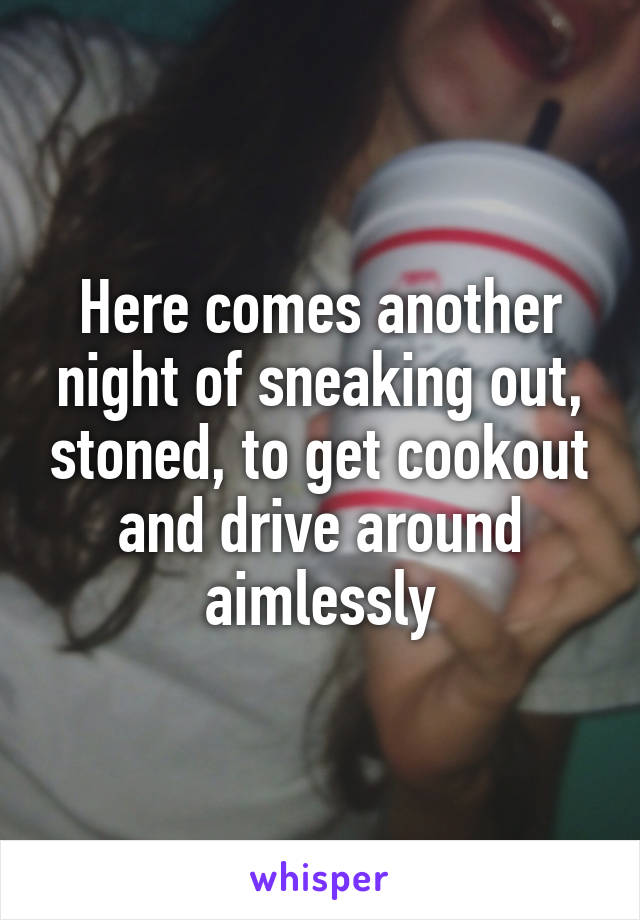 Here comes another night of sneaking out, stoned, to get cookout and drive around aimlessly