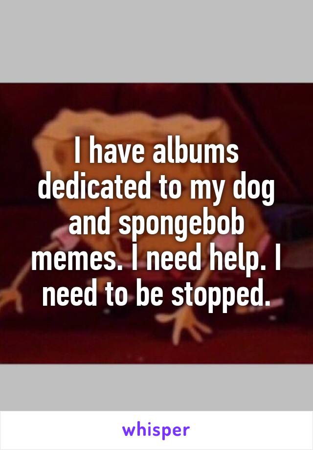 I have albums dedicated to my dog and spongebob memes. I need help. I need to be stopped.