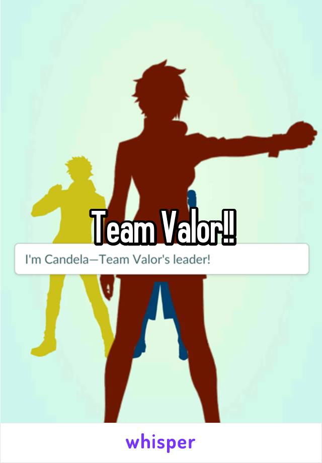 Team Valor!!