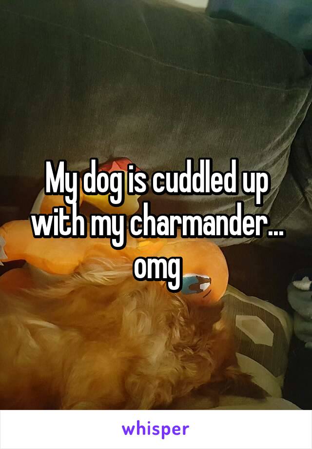 My dog is cuddled up with my charmander... omg