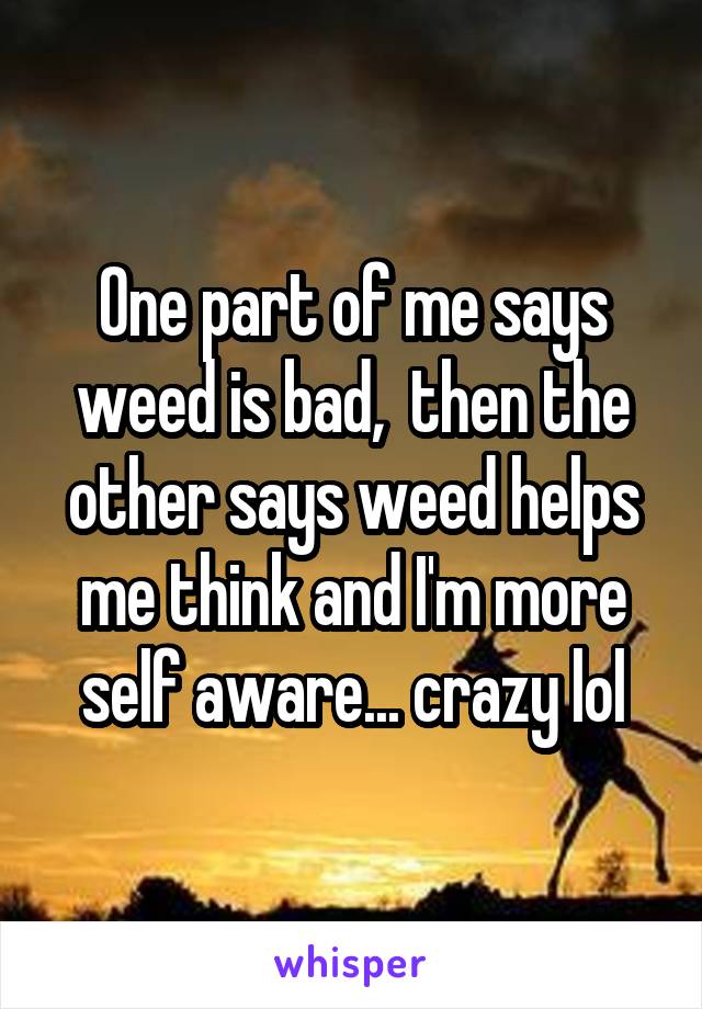 One part of me says weed is bad,  then the other says weed helps me think and I'm more self aware... crazy lol