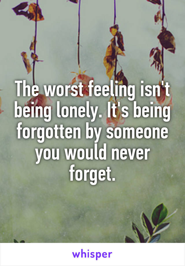 The worst feeling isn't being lonely. It's being forgotten by someone you would never forget.