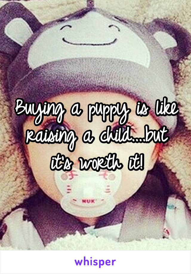 Buying a puppy is like raising a child....but it's worth it!