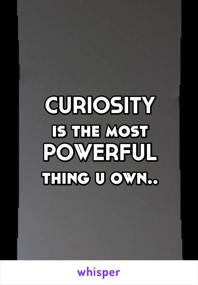 CURIOSITY
is the most
POWERFUL
thing u own..